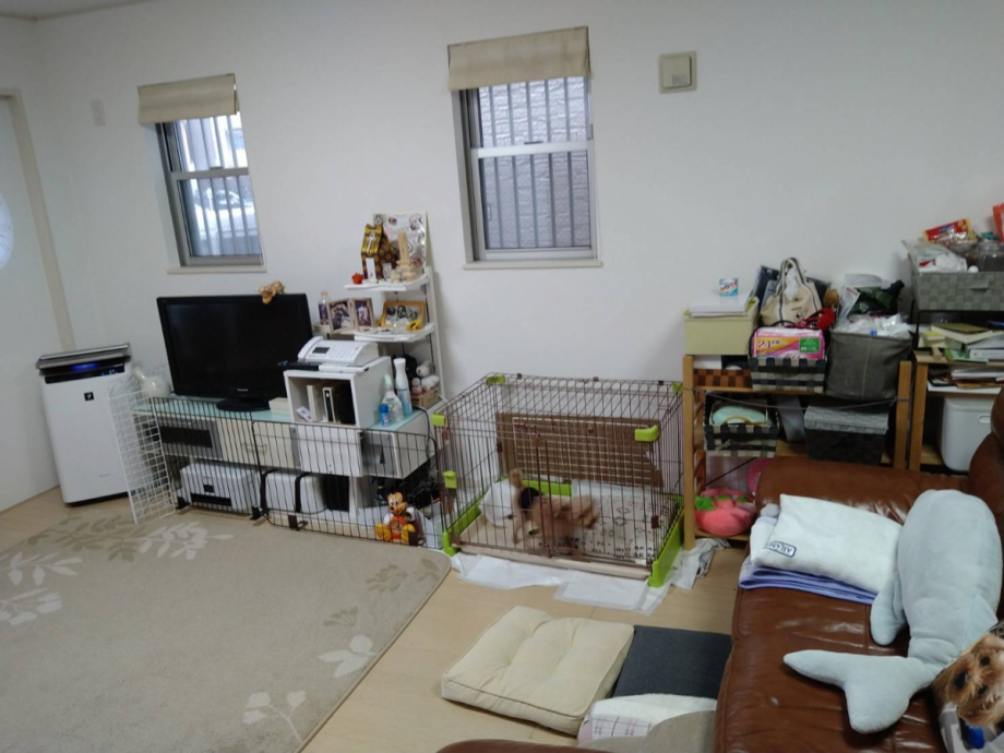 施工前写真